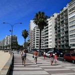 Apartamentos en Montevideo para alquilar