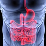 Aproximamos al paciente de cáncer colorectal y a expertos oncólogos para que puedan resolver sus dudas e inquietudes