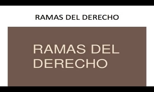 2 ram del derecho 3