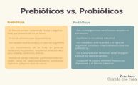 prebioticos-y-probioticos C