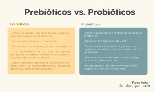 prebioticos-y-probioticos C