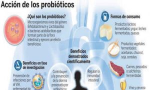Los probioticos dan gases