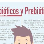 Los Prebióticos y los probióticos aliados de nuestro bienestar