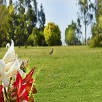 Cementerio Parque Jardín Los Frenos: un lugar para realmente descansar en paz