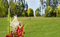 Cementerio Parque Jardín Los Frenos: un lugar para realmente descansar en paz