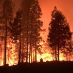 Incendio forestal en la costa oeste de EE.UU. acaba con la vida de seis personas