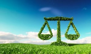 estudios de abogados que brindan servicios de Derecho Forestal