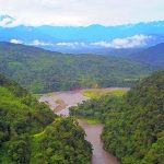 Agencias de turismo para visitar la selva Peruana